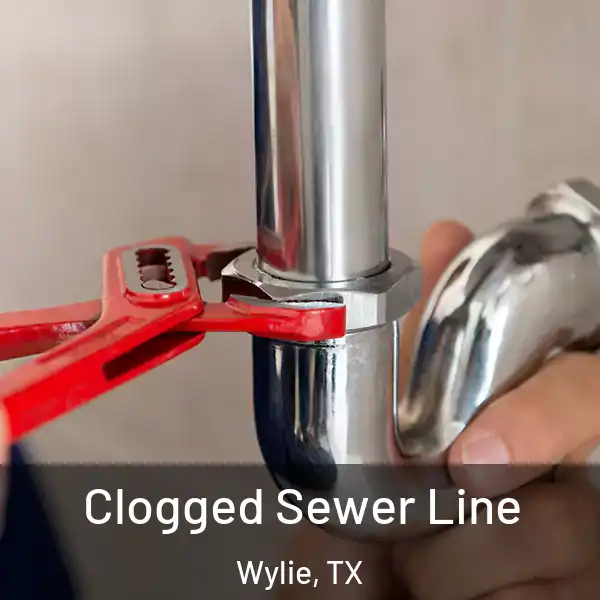  Clogged Sewer Line Wylie, TX
