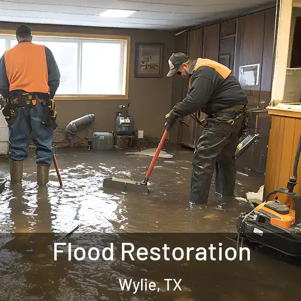  Flood Restoration Wylie, TX