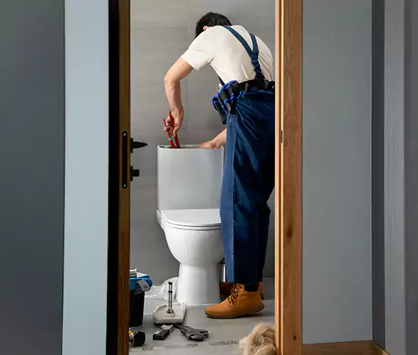 Professional Plumbers for Toilet Bowl Replacement in Wylie, TX: Schedule Affordable Toilet Replacement Services With Us