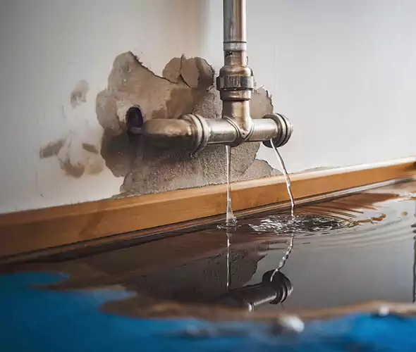 Professional Water Damage Restoration Experts in Wylie, TX — Fast, Reliable & Certified