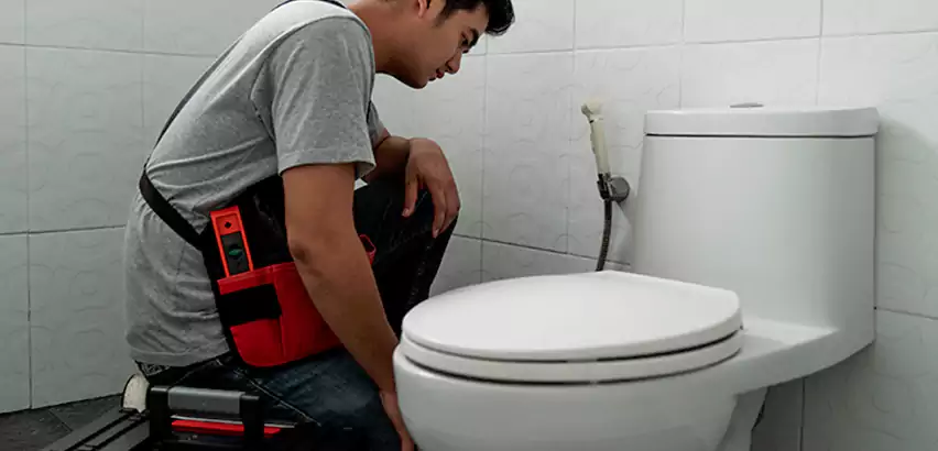 Toilet Repair in Wylie