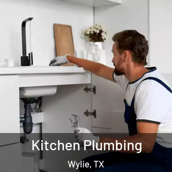  Kitchen Plumbing Wylie, TX