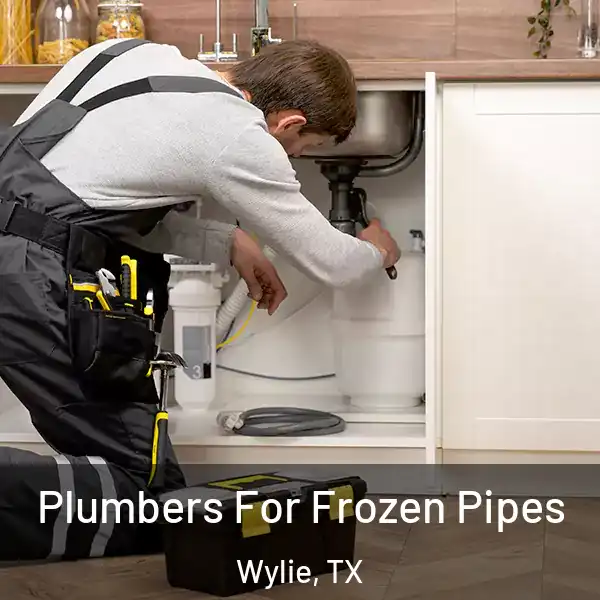  Plumbers For Frozen Pipes Wylie, TX