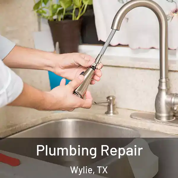  Plumbing Repair Wylie, TX