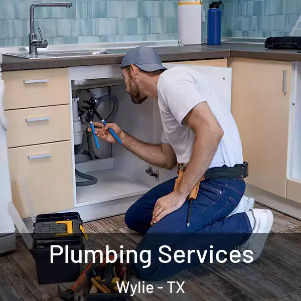  Plumbing Services Wylie - TX