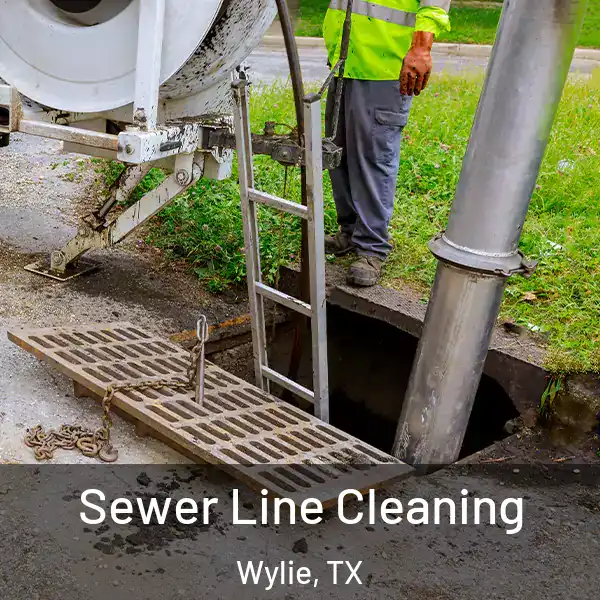  Sewer Line Cleaning Wylie, TX
