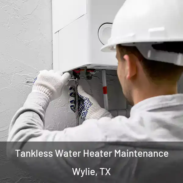  Tankless Water Heater Maintenance Wylie, TX