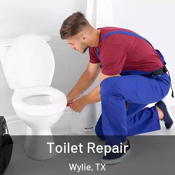  Toilet Repair Wylie, TX