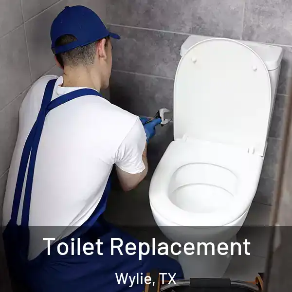  Toilet Replacement Wylie, TX