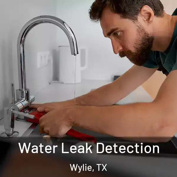  Water Leak Detection Wylie, TX